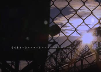 Cry of women from the prisons of the UAE