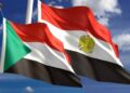 Sudanese Government's Intention To Extradite Egyptian Opponents To Egypt