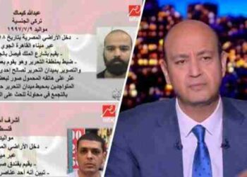 إعلاميين مصريين يشتركون مع أجهزة الأمن في شيطنة الحراك السلمي