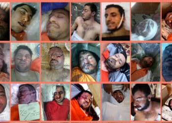 أنقذوهم قبل أن يواجهوا نفس المصير