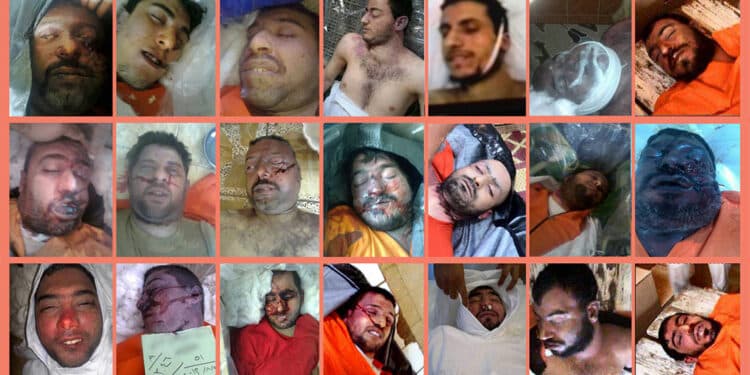 أنقذوهم قبل أن يواجهوا نفس المصير