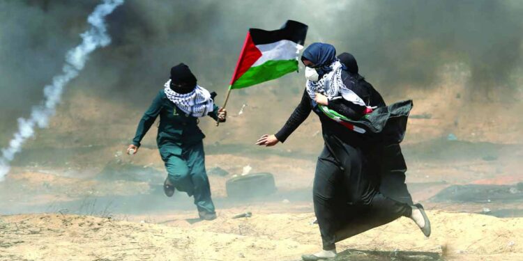 صورة ارشيفية