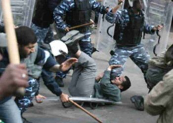 ارشيفية