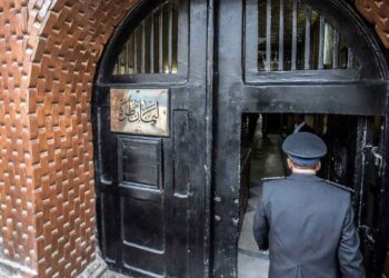 سجناء مصر في خطر