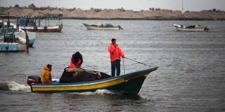البحرية المصرية تعتقل 3 صيادين فلسطينيين