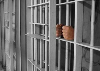 الافراج عن صحفيين