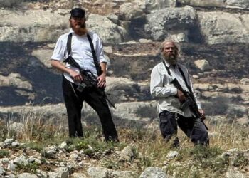 Armed settlers attack Palestinian farmers