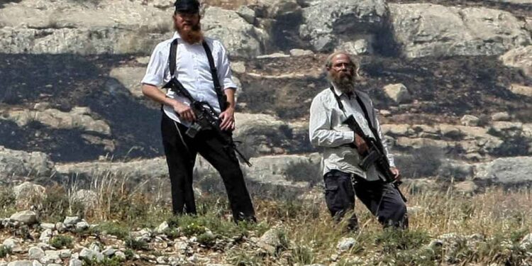 Armed settlers attack Palestinian farmers