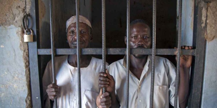 المواطن السوداني مالك محجوب