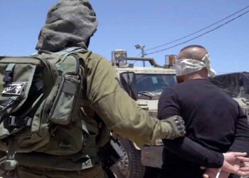 الاحتلال يعتقل 144 فلسطينياً