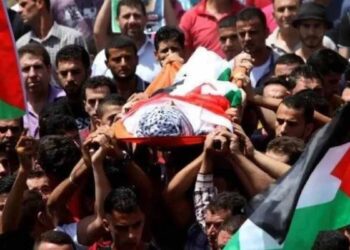 صورة من الارشيف