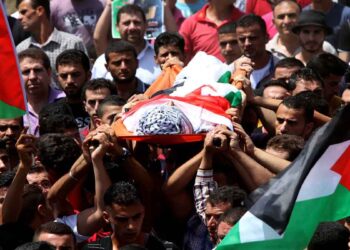 حصيلة العدوان على غزة إلى 254 قتيلا