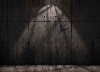 الإخفاء القسري بحق زوجين وطالبة في الشرقية