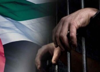 UN official adds to criticisms of UAE’s human rights record