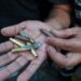 Iraqi security forces use excessive force, killing one citizen and injuring nine others