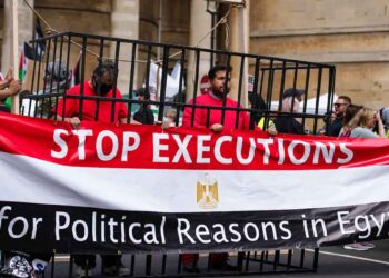 Hunger strikers in New York: Stop the Executions in Egypt!