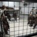 Sixteen Palestinian Prisoners Continue Their Open Hunger Strike