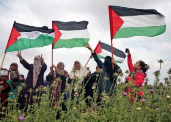 Online Seminar: The Palestinians’ Struggle to Protect Their Human Rights