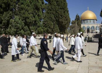131 settlers storm Al-Aqsa, whilst Palestinian arrested for praying
