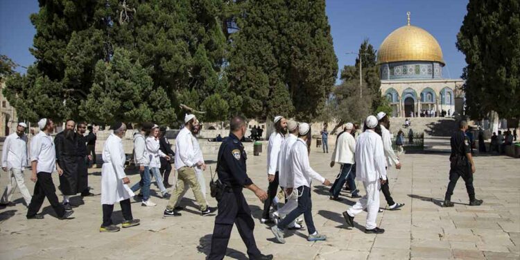 صورة من الارشيف