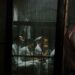 Death of Four Egyptian Detainees in One Week due to Medical Negligence