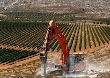 The Israeli Occupation Decides to Seise Hundreds of Hectares in the Southern West Bank