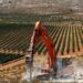 The Israeli Occupation Decides to Seise Hundreds of Hectares in the Southern West Bank