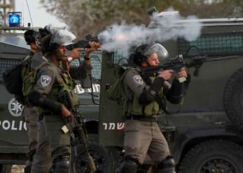 صورة من الارشيف