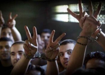 صورة من الارشيف