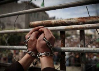 A Call for Blogging and Standing in Solidarity with the Striking Palestinian Prisoners in Israeli Prisons
