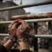 A Call for Blogging and Standing in Solidarity with the Striking Palestinian Prisoners in Israeli Prisons