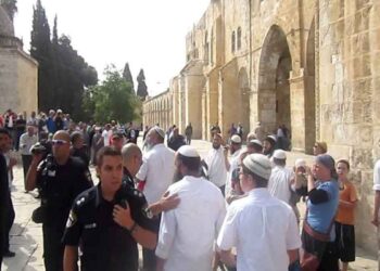 A Child Among Four Palestinians Detained in Occupied Jerusalem
