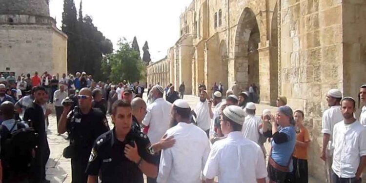 A Child Among Four Palestinians Detained in Occupied Jerusalem