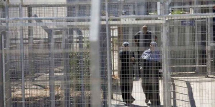 3 Palestinian Women Prisoners Enter an Open Hunger Strike