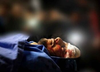 الفلسطيني "جميل أبو عياش"