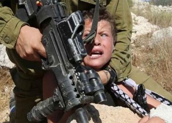 Online Seminar: Children stripped of their childhood – The Suffering of Palestinian Children Under Occupation