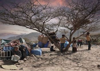 الاتحاد الأوروبي: أطراف النزاع في اليمن ارتكبت انتهاكات حقوقية جسيمة