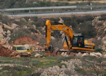 IOF Destroys Agricultural Lands, Arrests 13 Palestinians