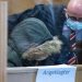 Syrian Doctor on Trial in Germany for Crimes Against Humanity