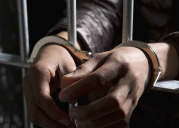 Egypt: Female Political Detainee Amani Shalaby Held for 15 days Pending Investigation