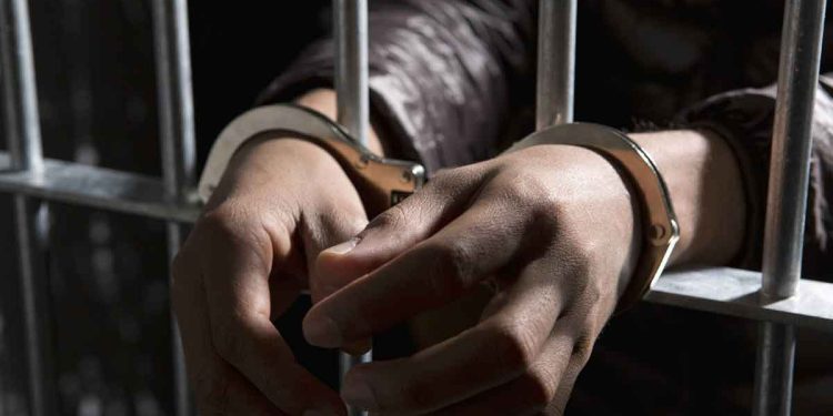 Egypt: Female Political Detainee Amani Shalaby Held for 15 days Pending Investigation