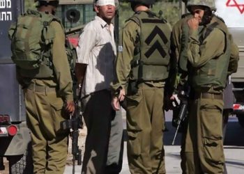 IOF Kills 3 and Injures 3 Others in the West Bank