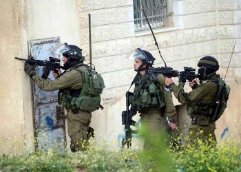 صورة من الارشيف