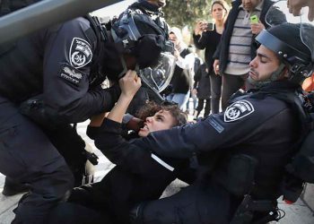 صورة من الارشيف