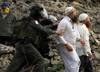 صورة من الارشيف