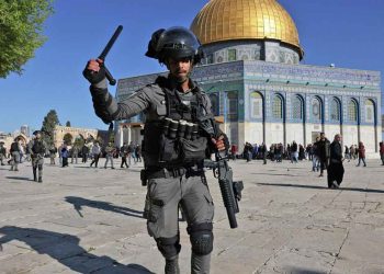 صورة من الارشيف