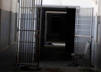 صورة من الارشيف