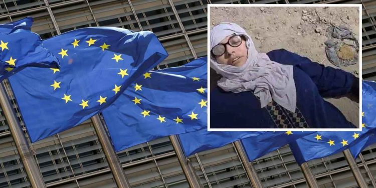 صورة من الارشيف