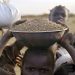 UN: Rising Hunger Looms in Sudan