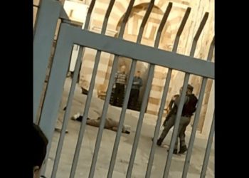 إعدام ثاني سيدة فلسطينية برصاص الجيش الإسرائيلي خلال 6 ساعات